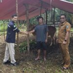 PT TIM Hewan Kurban 2026 Belitung